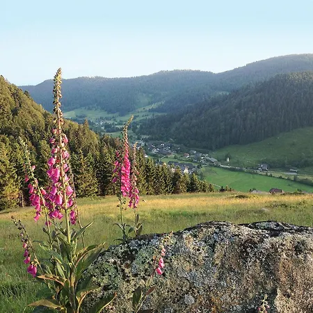 Apartamento Kleine Auszeit By Interhome Menzenschwand-Hinterdorf