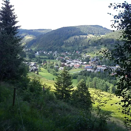 Apartamento Kleine Auszeit By Interhome Menzenschwand-Hinterdorf