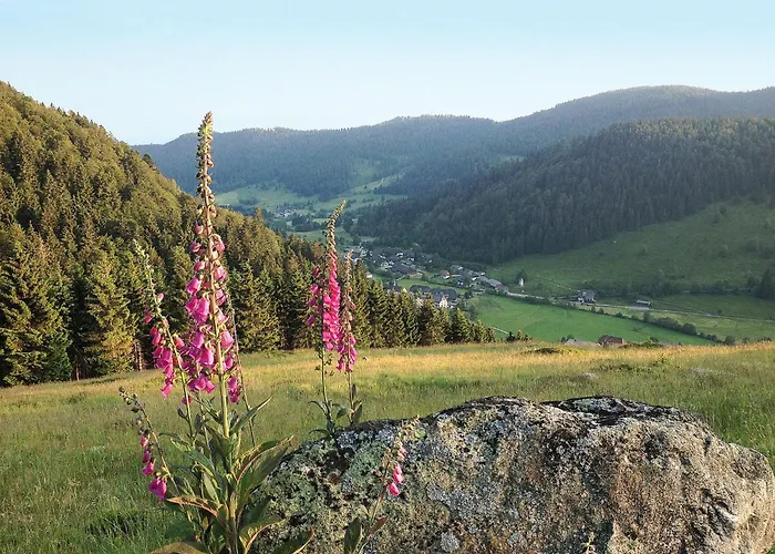 شقة Kleine Auszeit By Interhome Menzenschwand-Hinterdorf